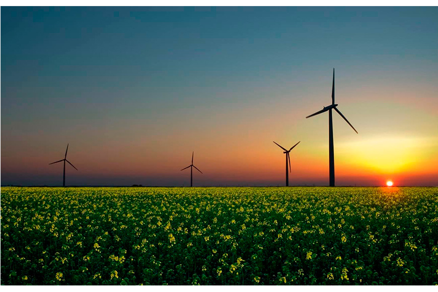 México impulsa 55 proyectos de energía renovable con 3.000 MW privados y colaboración de la CFE
